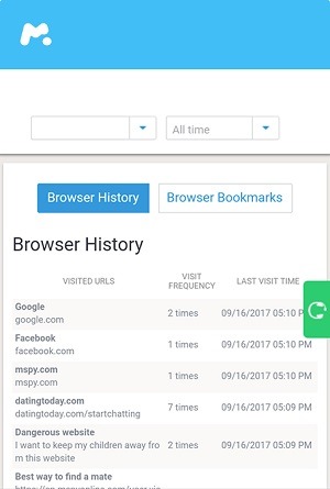 mspy-browser history