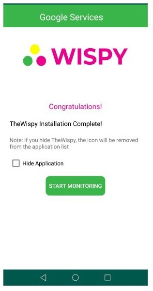 Thewispy review-17