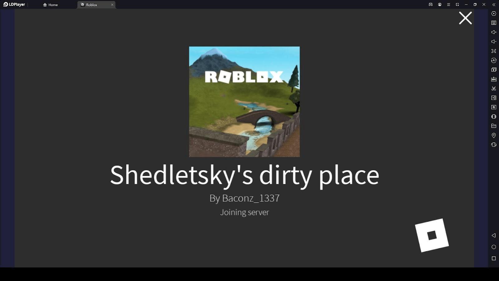 Roblox vagina